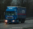 Fatton