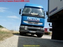 Fatton